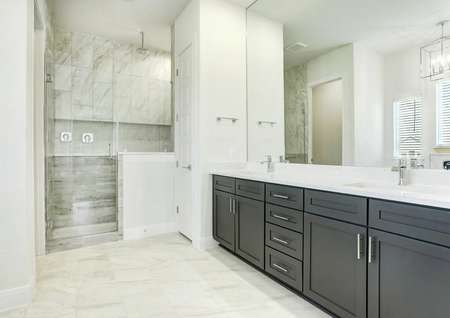 Stunning master bath with a dual-sink vanity and walk-in shower.