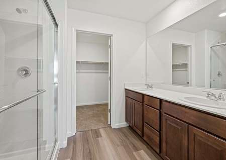 The master bathroom has a large vanity with a step in shower. 