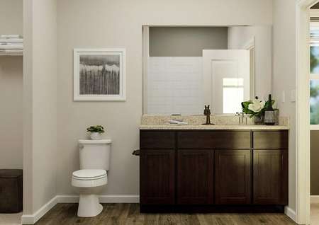 Rendering of the master bath focused on
  the brown cabinet vanity with spacious countertop, mirror and white toilet.