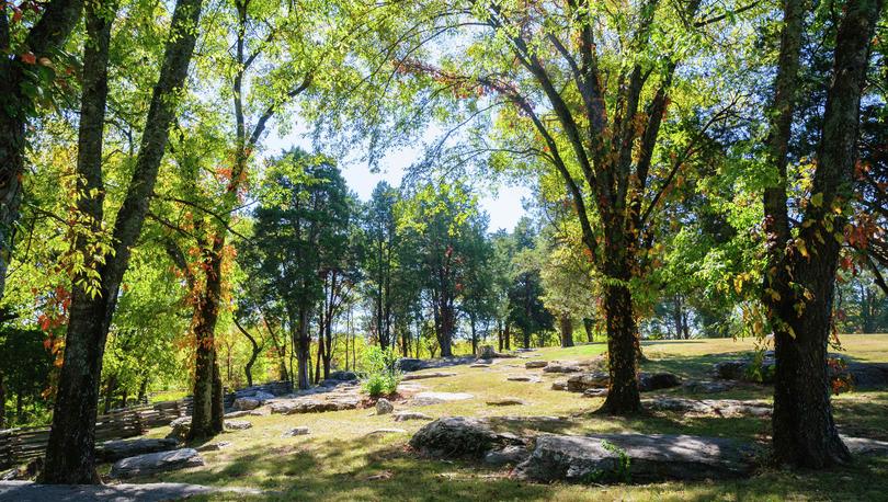 Murfreesboro, Tennessee Stones River National Battlefield with large granite stones in the ground, overgrown green trees, and grassy ground