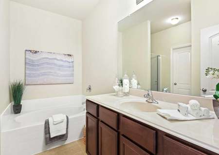 Staged bathroom with granite countertops, toiletries and towels on the counter, and green decorative piece in the corner