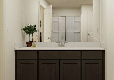 Rendering of the owner's bathroom
  featuring a dark wood vanity and décor.