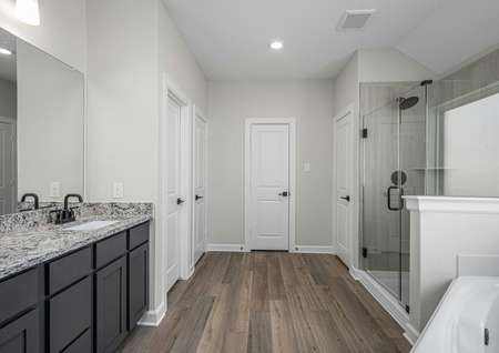Master bathroom with a step in shower and a soaking tub