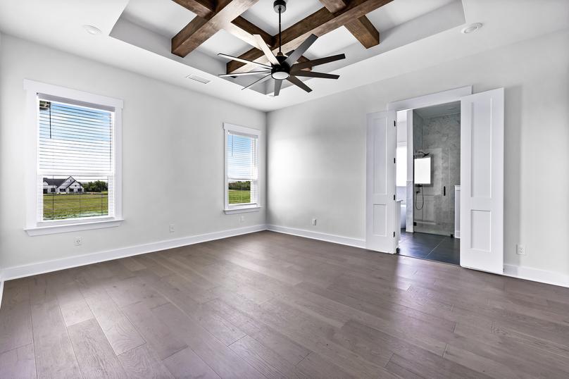 Expansive master bedroom with windows, a ceiling fan, and wood flooring. 