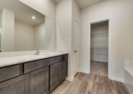 The master bath has a beautiful vanity and great countertop space.