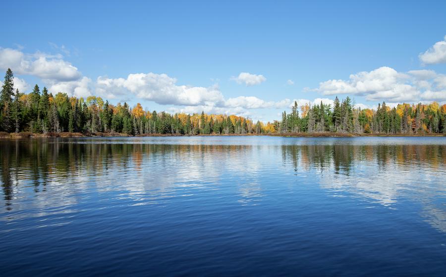 Stock image of blue lake with treeline in autumn color on a sunny afternoon in northern Minnesota.