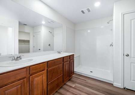 Master bathroom with dual sink vanity and step in shower