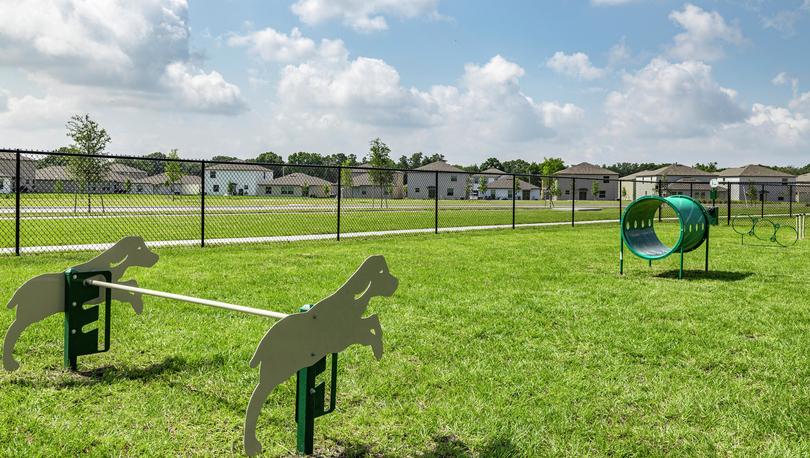 Close up view of dog park with various equipment. 