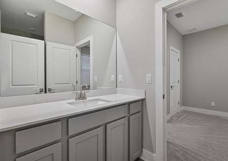 Full bathroom with a large vanity connected to a spacious bedroom.