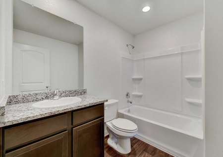 Frio bathroom with granite counter and shower/tub combo.