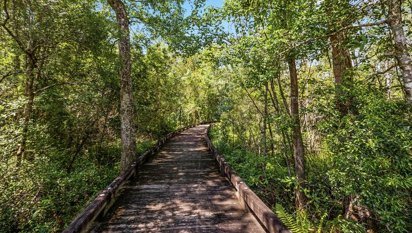 Nature trail at New South Bridge with boardwalk.