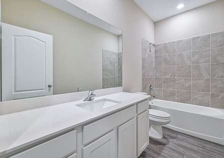 The guest bathroom has a spacious vanity