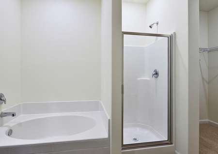 Master bathroom with soaking tub and step in shower
